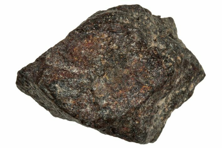 Carbonaceous Chondrite Meteorite ( g) - NWA #313782